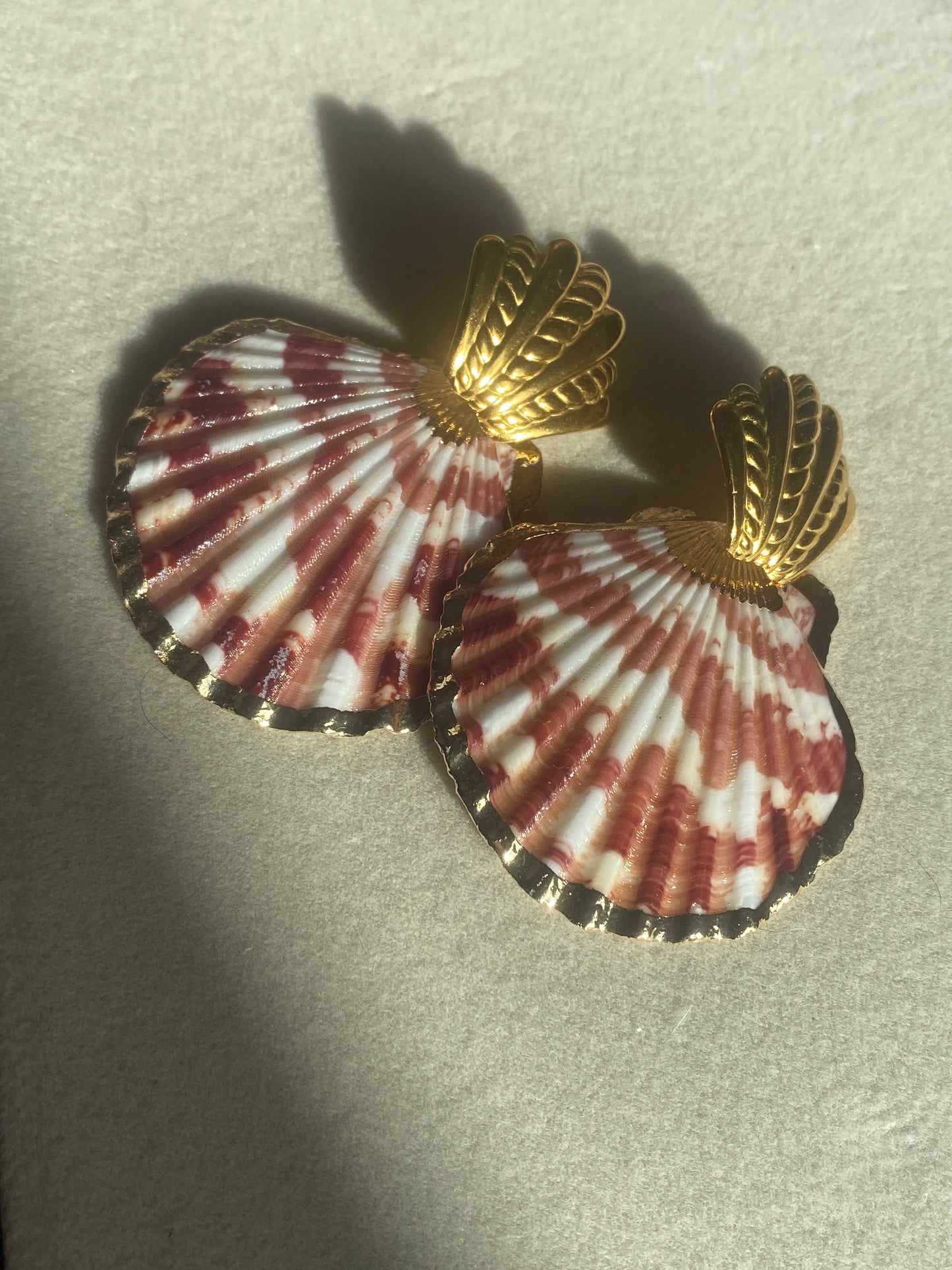 Puces || COQUILLAGES