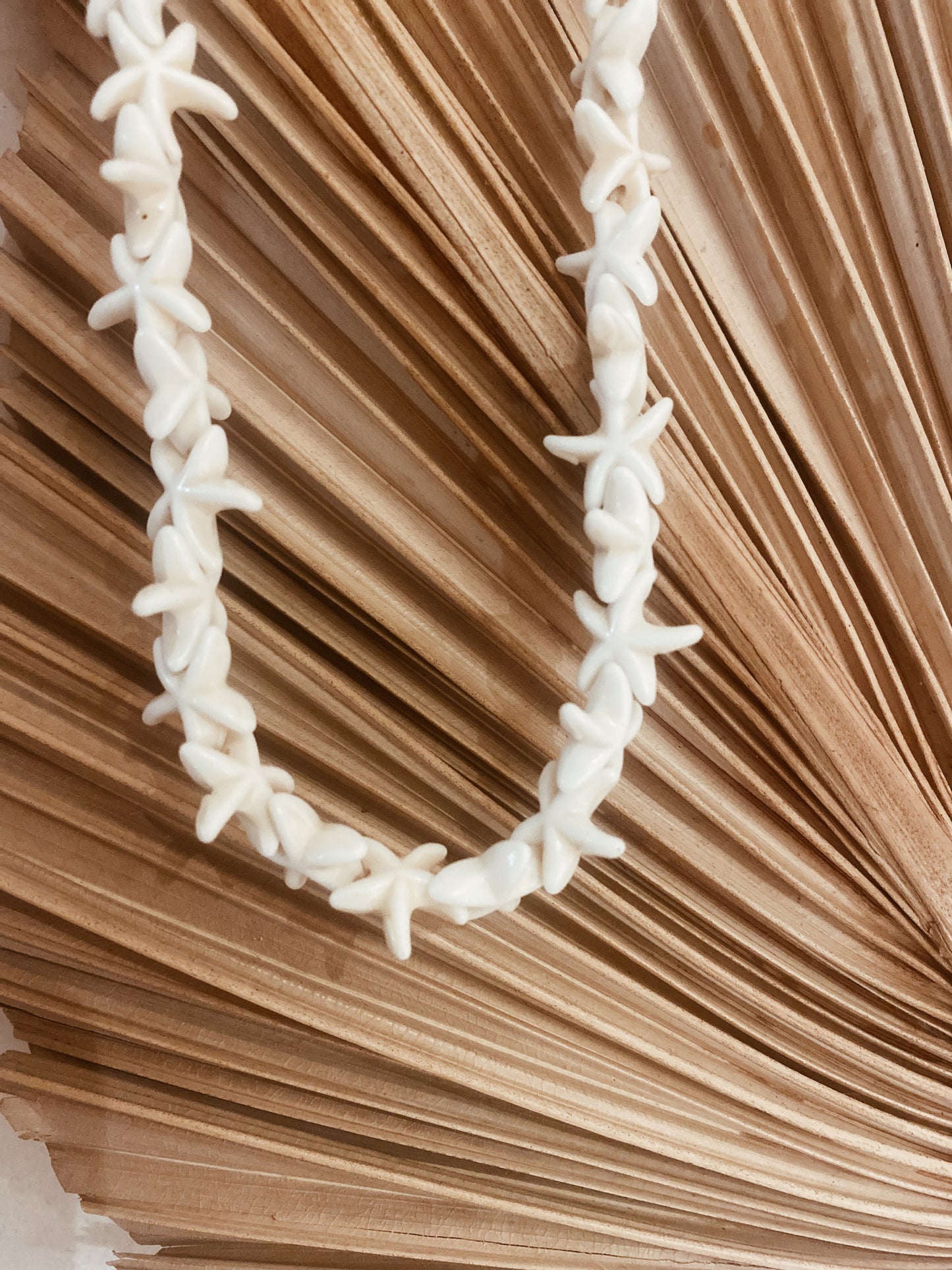 Collier ⟩ NOUMÉA