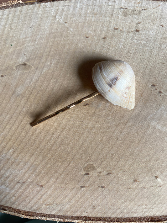 Shell dorée