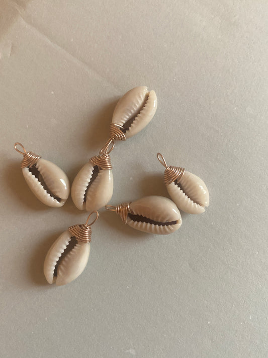 Charm || SHELL
